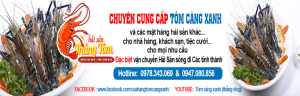 mua tom cang xanh o dau gia re tot nhat viet nam